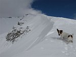 38  Pericoloso sporgersi! - foto Fulvio